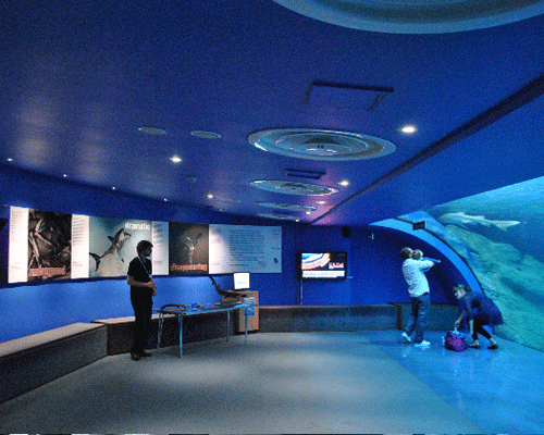 Megaman LED the way at Plymouth aquarium