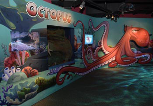 New gallery for Florida Aquarium
