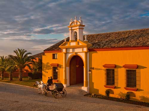The Seville resort provides an authentic Andalusian experience