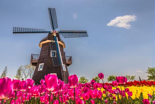 HollandWorld theme park draws inspiration from iconic symbols of the Netherlands