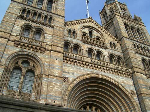 The Natural History Museum is one of Britain's most visited attractions 