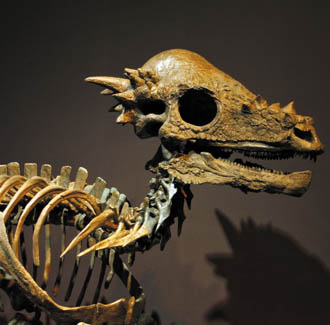 Carnegie Museum revamps dinosaur exhibition