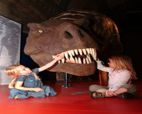 Exhibiting dinosaurs