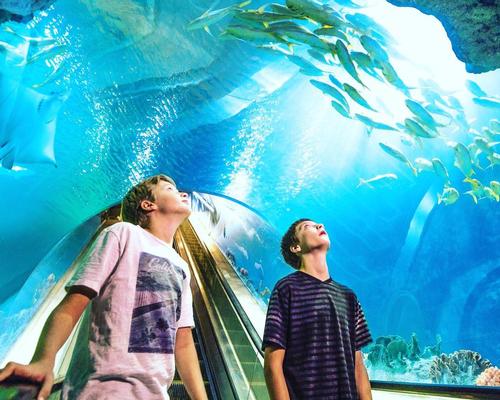 OdySea Aquarium is encouraging visitors to pre-book tickets to support the aquarium through its closure