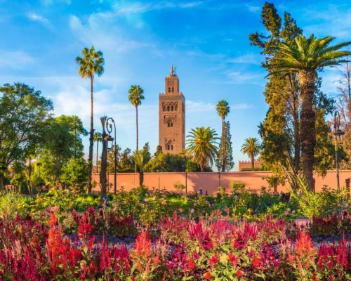 Nobu continues global expansion and announces plans for debut African property in Marrakech