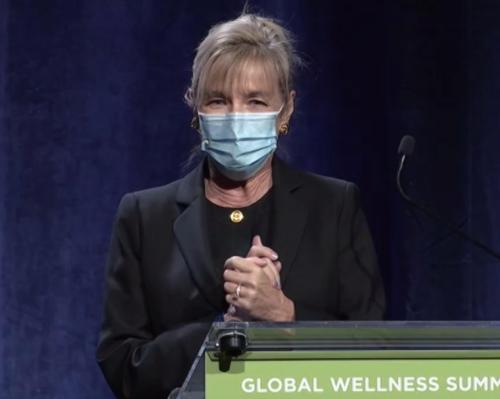 Susie Ellis provided a live update about the Wellness Moonshot initiative from the 2020 Global Wellness Summit