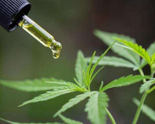 Cannabidiol (CBD) is an active but non-psychoactive compound derived from hemp or cannabis