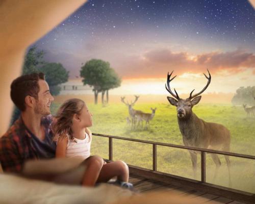 The lodges will offer views of red deer roaming in their habitat