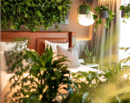 La Chambre Verte encourages guests to unwind in the green space while observing nature’s beauty, to feel stress levels reduce, happiness increase and enjoy a better night’s sleep