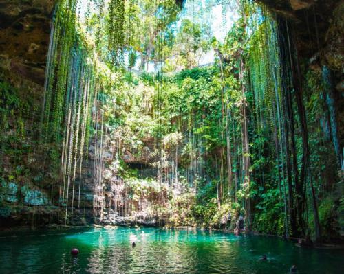Seen as a healing force in Mayan culture, cenotes are large sinkholes or caves filled with water found throughout Mexico's Yuctan peninsula