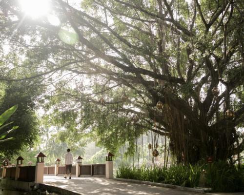 Banyan Tree expands Wellbeing Sanctuary concept to Koh Samui and Krabi locations