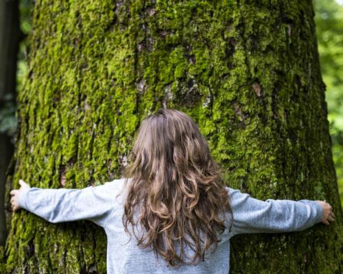 Grand Hotel Tremezzo launches tree-hugging retreat to encourage healing within nature