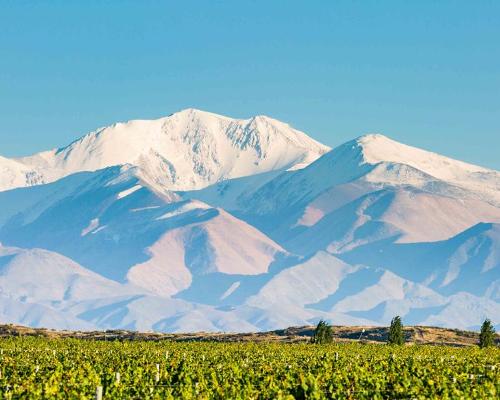 The resort is set in Argentina's region of Mendoza - an famous wine destination famed for its Malbec and flanked by the dramatic Andes Mountains