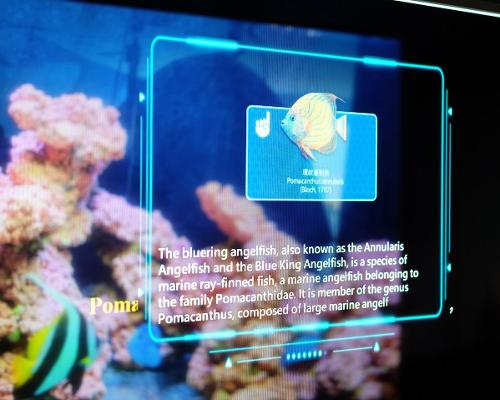 Eye tracking AI Aquarium from ITRI helps visitors identify fish species