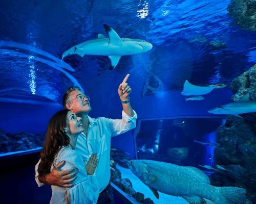 Cairns Aquarium in Australia put up for sale
