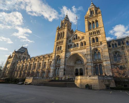 The Natural History Museum in London had its best year ever for visitor numbers in 2023