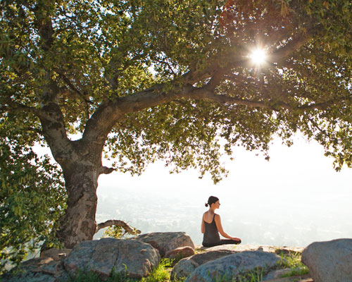 Beauty, nature & neuroaesthetics