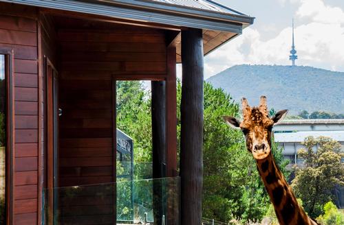 The new accommodation allows guests to interact directly with the animals 