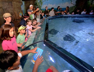 Merlin opens Legoland Sea life Aquarium in California