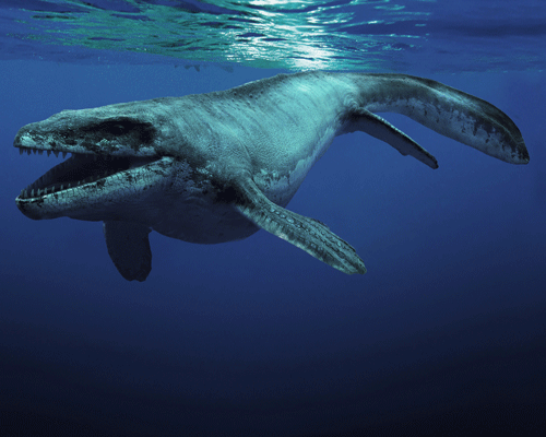 IMAX's Sea Rex to premiere at Bristol Aquarium