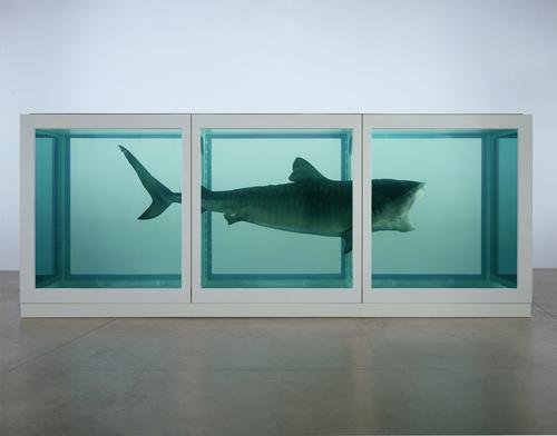Damien Hirst's <i>The Physical Impossibility of Death in the Mind of Someone Living</i> is one of his best-known pieces