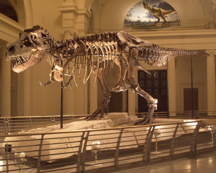 The Field Museum partners with Atlantic Productions for new digital dinosaur exhibit