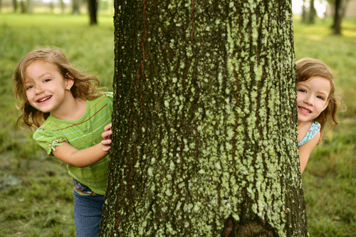 Children 'losing connection' with the outdoors