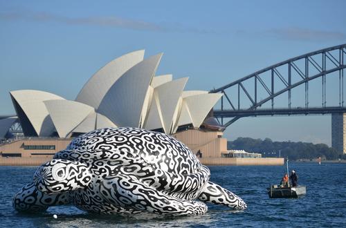 Giant turtle invades Sydney harbour as part of underwater art installation