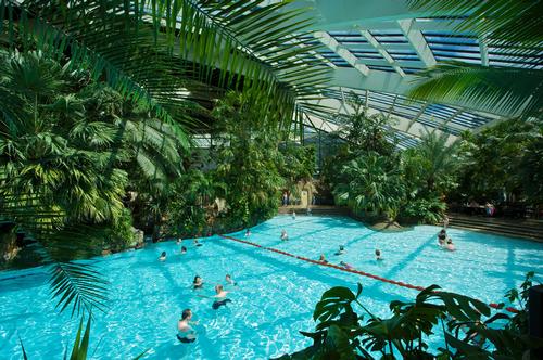Center Parcs Woburn has had a 99 per cent occupancy rate since opening earlier this year