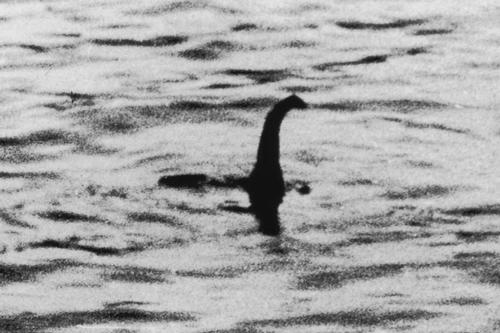 The mysterious Nessie will front the Scottish campaign