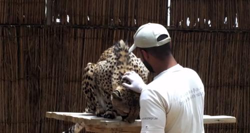 UK trainers lend expertise to UAE's Al Ain Zoo to run training scheme