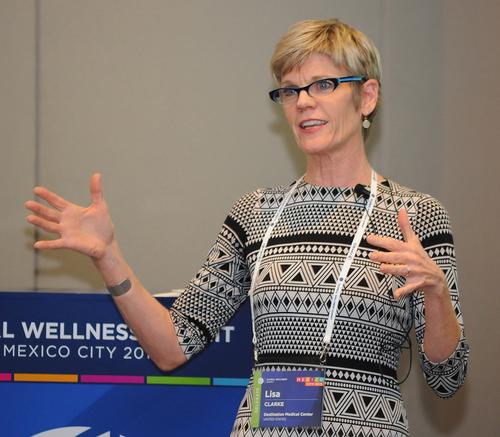 Lisa Clarke spoke to delegates of Global Wellness Summit about DMC's plan for Minnesota