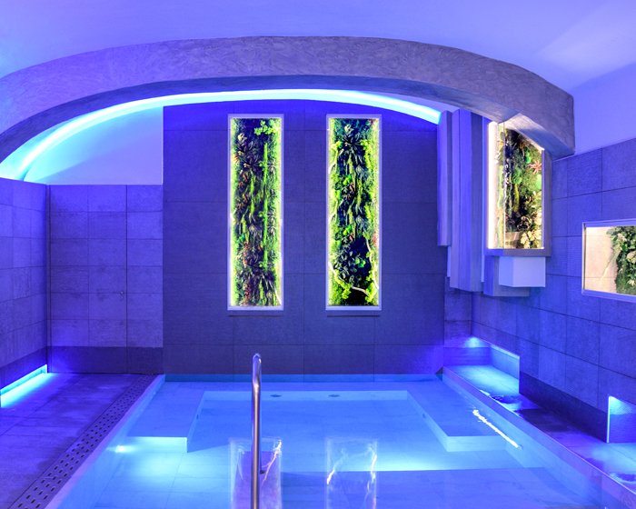 Moss Trend expands into spa market 