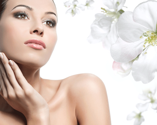 WTS consulting and management services for spas