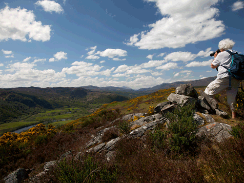 Defra confirms new English wildlife havens