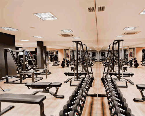 New Shock fitness machines from Telju