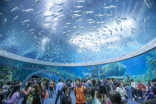 Chimelong Ocean Kingdom has set five records, including the largest underwater viewing dome and aquarium tank
