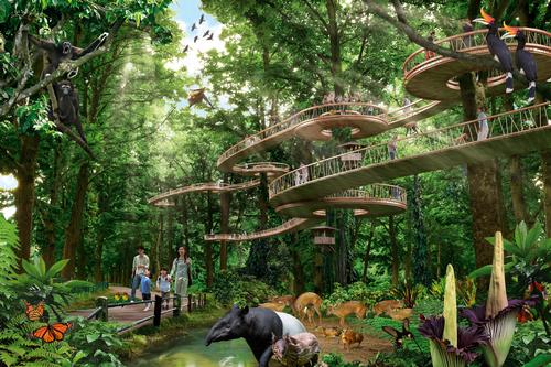 Singapore Tourism Board working on S$1bn nature heritage precinct in Mandai