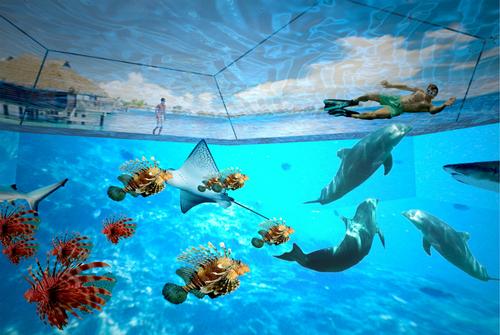 OVA Studio prototype brings the oceans to life with 3D Swimarium