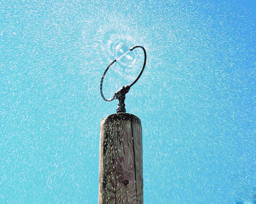 Forest Fountain taking water play to new heights