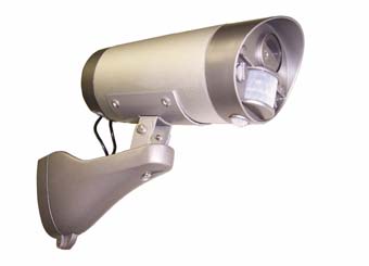 CCTV with lighting control