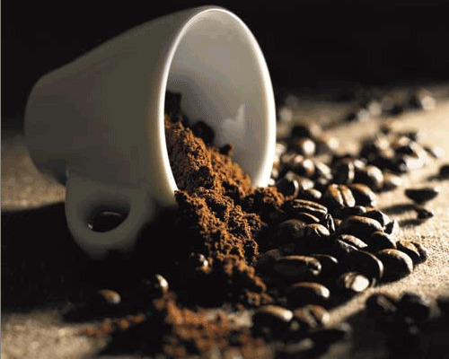 Selecta presents new miofino coffee brand