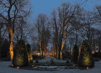 Throwing light on a grave situation
