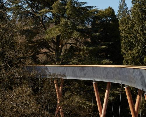Glenn Howells Architects complete UK's longest treetop walkway