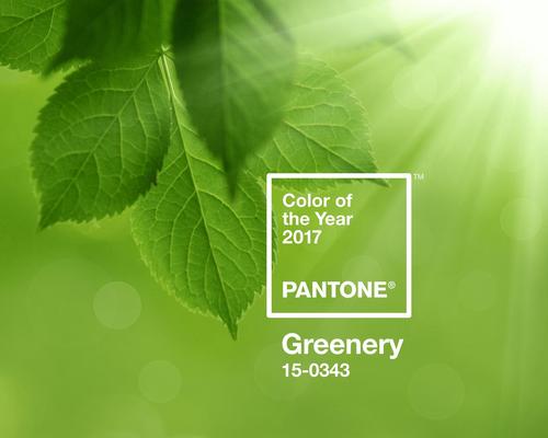 According to Pantone, its 15-0343 Greenery shade 'evokes the first days of spring when nature’s greens revive, restore and renew'
