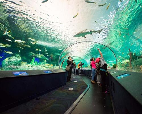 Visitors to a Ripley's aquarium enjoy travelling on the moving walkway