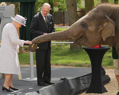 Queen opens new £2m elephant centre at Whipsnade Zoo