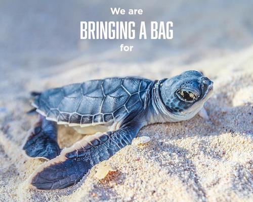 Major US aquariums join forces to eliminate plastic use