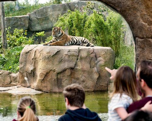 The zoo wants to replicate the success of its Islands addition, redeveloping the zoo with its 2030 masterplan