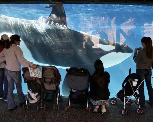 SeaWorld continuing with Chinese expansion plans despite domestic woes